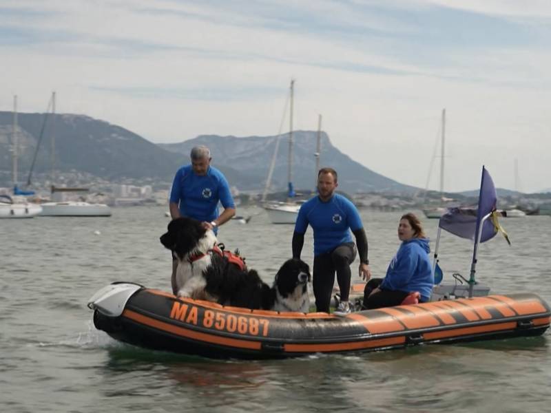 French Production Service x Telematin