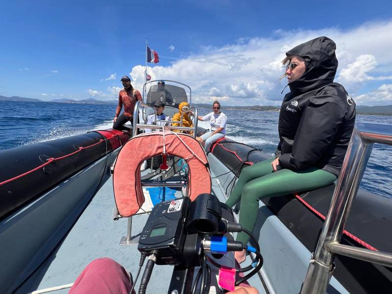 French Production Service x Telematin