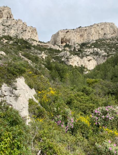 French fixer in Marseille