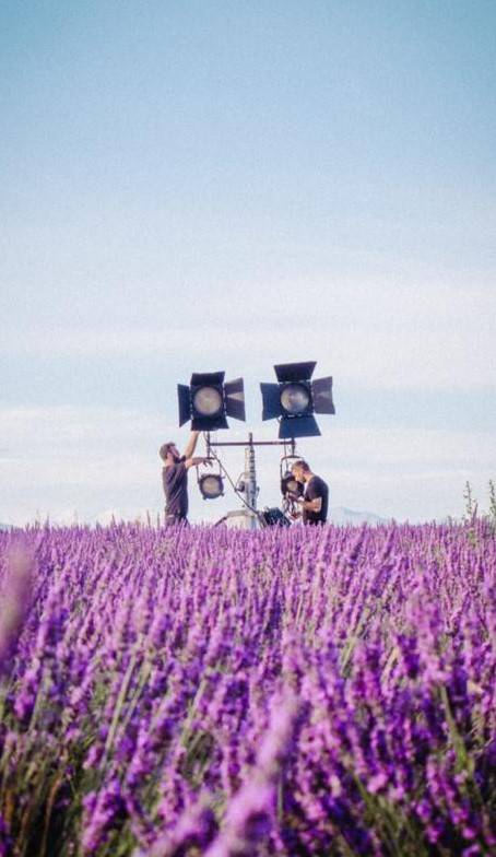 Executive production service in the lavender fields with French production service